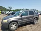 2005 Ford Escape XLT