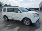 2013 Honda Pilot EXL