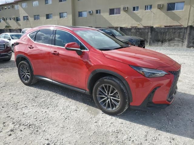 2022 Lexus NX 350