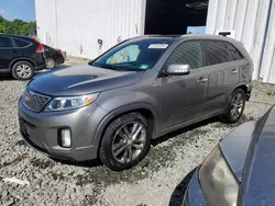 Salvage cars for sale at Windsor, NJ auction: 2014 KIA Sorento SX