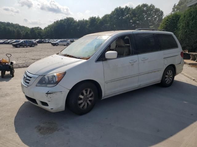 2010 Honda Odyssey EXL