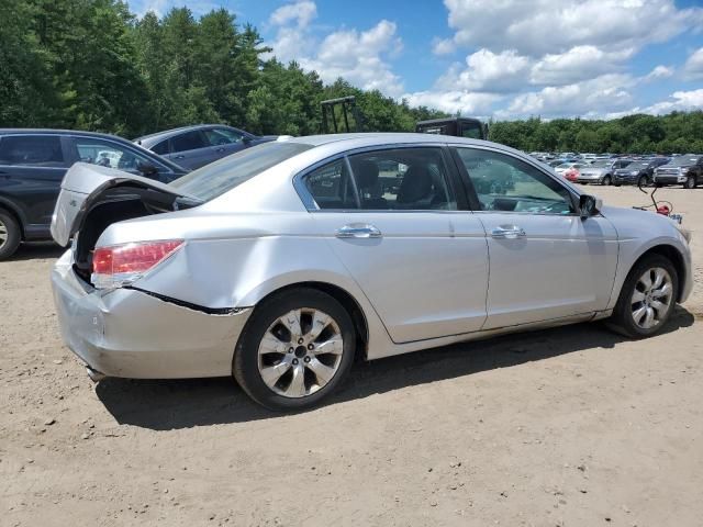 2010 Honda Accord EXL