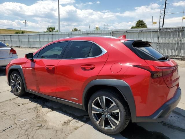 2019 Lexus UX 250H