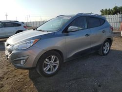 Salvage cars for sale from Copart Des Moines, IA: 2013 Hyundai Tucson GLS