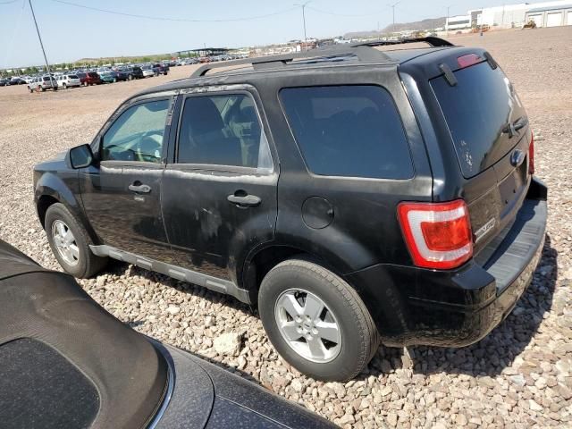 2009 Ford Escape XLT