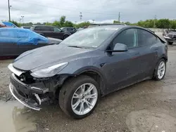 Salvage cars for sale at Indianapolis, IN auction: 2023 Tesla Model Y