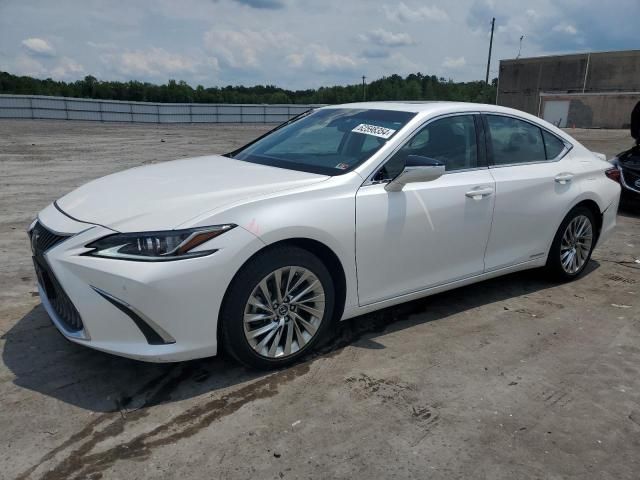 2021 Lexus ES 300H Luxury