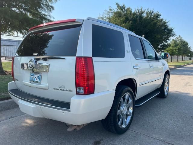 2010 Cadillac Escalade Hybrid