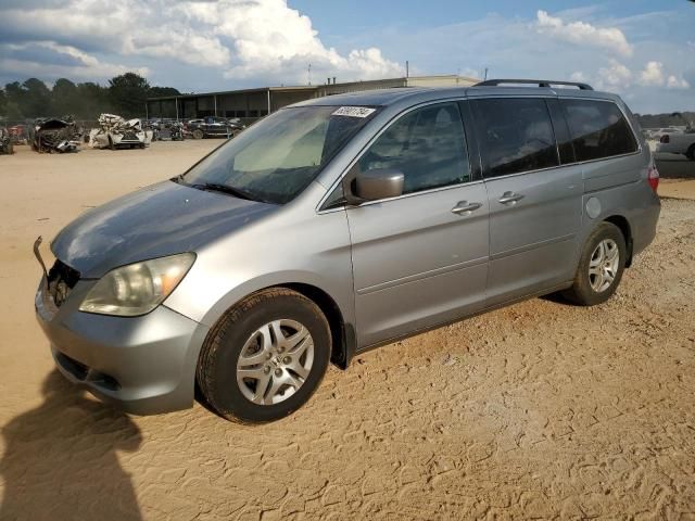 2005 Honda Odyssey EXL