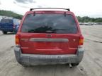 2007 Ford Escape XLT