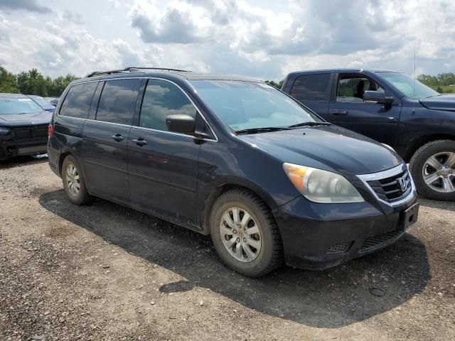 2010 Honda Odyssey EXL