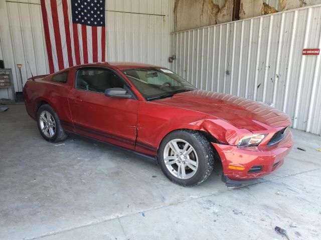 2010 Ford Mustang