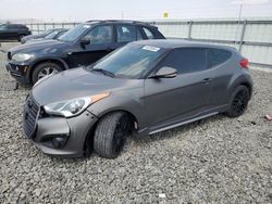 Carros salvage sin ofertas aún a la venta en subasta: 2013 Hyundai Veloster Turbo