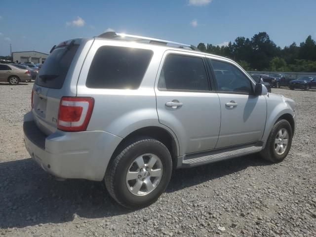 2010 Ford Escape Limited