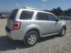 2010 Ford Escape Limited