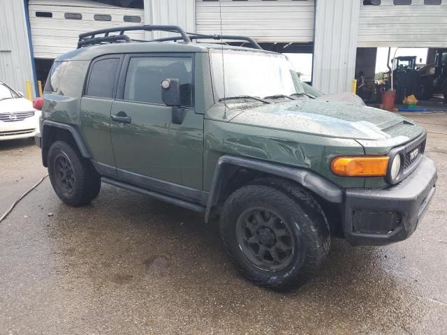 2011 Toyota FJ Cruiser