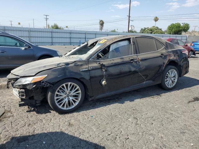 2019 Toyota Camry Hybrid