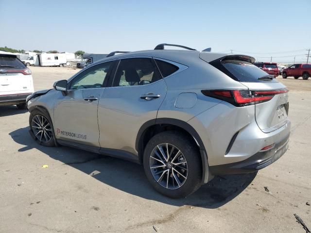 2024 Lexus NX 350H Base