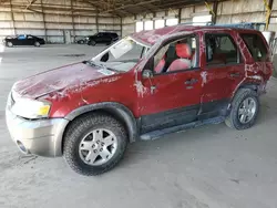 Salvage cars for sale at Phoenix, AZ auction: 2005 Ford Escape XLT