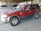 2005 Ford Escape XLT