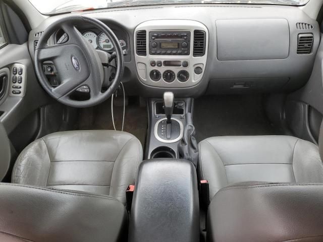 2006 Ford Escape XLT