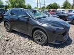 2024 Lexus NX 350 Base