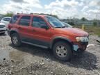 2006 Ford Escape XLT