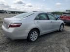 2007 Toyota Camry Hybrid