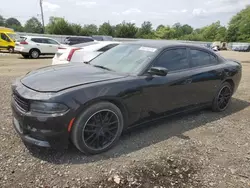 Salvage cars for sale at Windsor, NJ auction: 2016 Dodge Charger SE