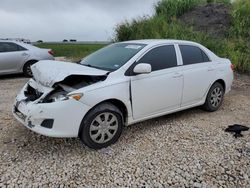 Toyota salvage cars for sale: 2010 Toyota Corolla Base