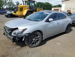 Nissan salvage cars for sale: 2010 Nissan Maxima S