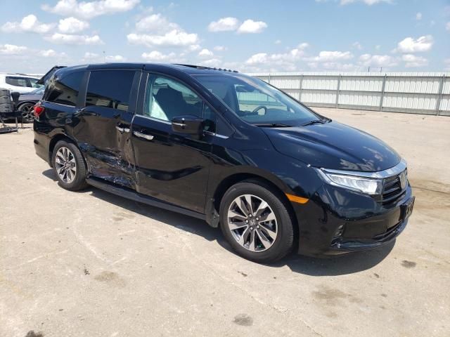 2024 Honda Odyssey EXL