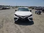 2024 Toyota Camry SE Night Shade