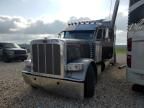 2023 Peterbilt 389