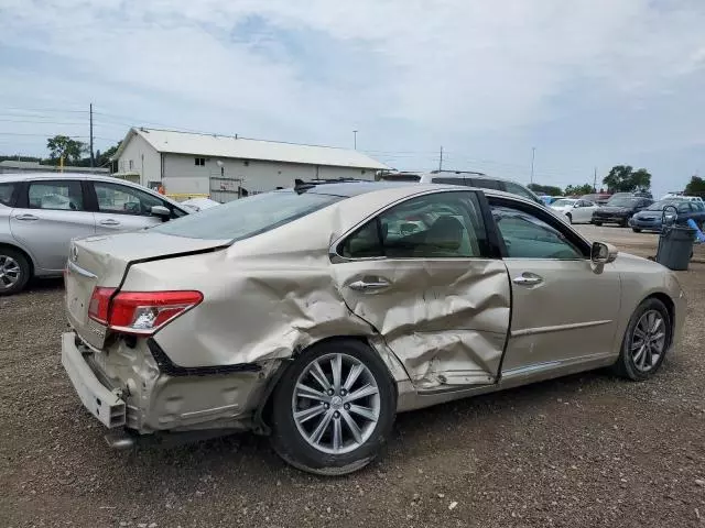 2010 Lexus ES 350