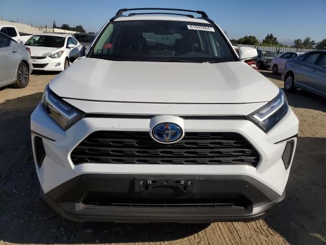 2024 Toyota Rav4 XLE