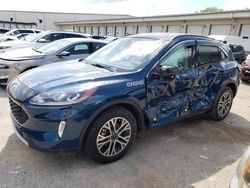 Salvage cars for sale at Louisville, KY auction: 2020 Ford Escape SEL