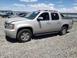 Chevrolet Vehiculos salvage en venta: 2007 Chevrolet Avalanche K1500