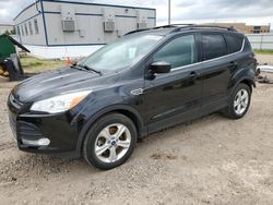 Carros salvage sin ofertas aún a la venta en subasta: 2014 Ford Escape SE