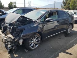 Lexus hs Vehiculos salvage en venta: 2010 Lexus HS 250H