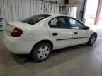 2003 Dodge Neon SE