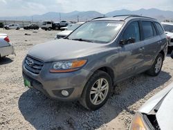 Hyundai Santa fe salvage cars for sale: 2010 Hyundai Santa FE SE