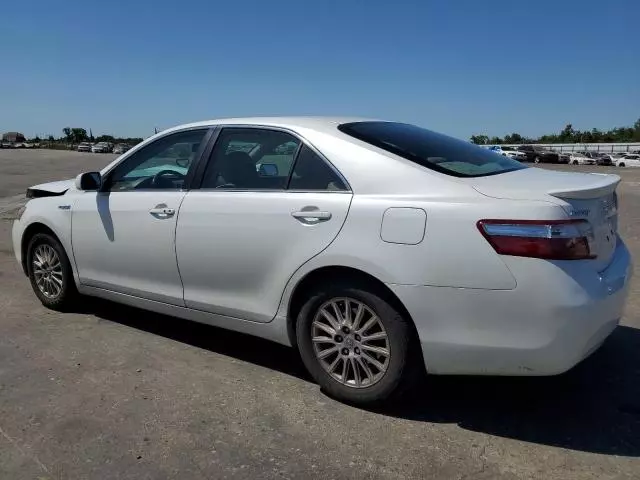 2007 Toyota Camry Hybrid