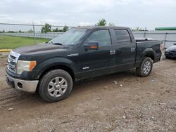 Salvage trucks for sale at Houston, TX auction: 2013 Ford F150 Supercrew