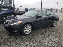 Honda salvage cars for sale: 2010 Honda Accord EXL