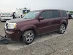 2013 Honda Pilot EXL