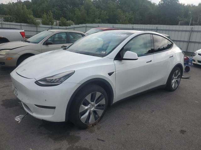 2020 Tesla Model Y