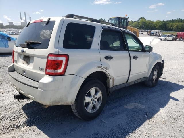 2010 Ford Escape XLT