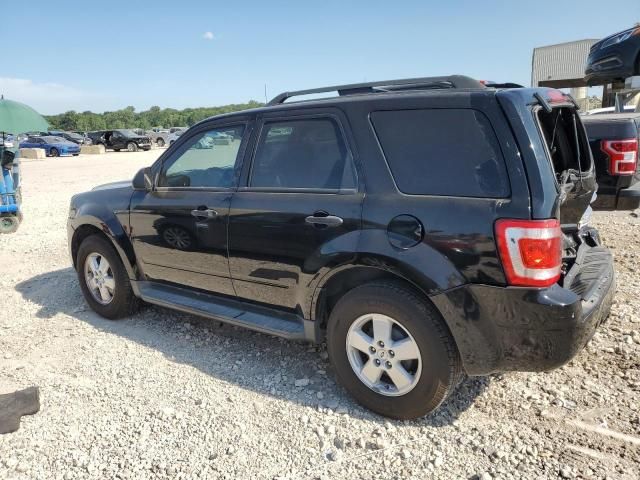 2010 Ford Escape XLT