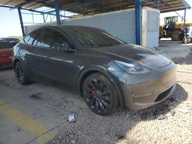 2024 Tesla Model Y